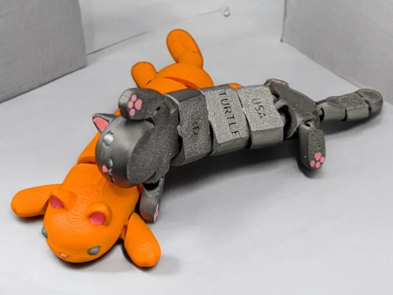 gray cat flexi color 