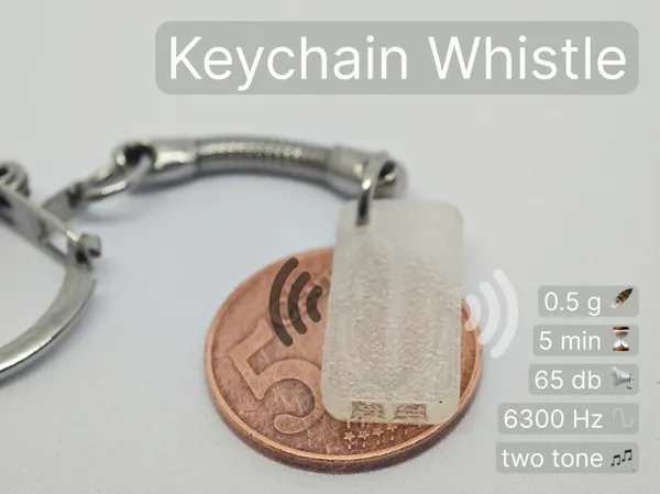 https://makerworld.bblmw.com/makerworld/model/US91daa22b2f8724/design/6907d609f612a93e.png