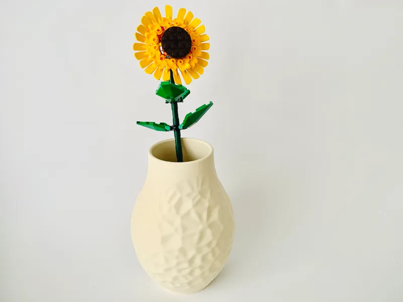 Voronoi Vase