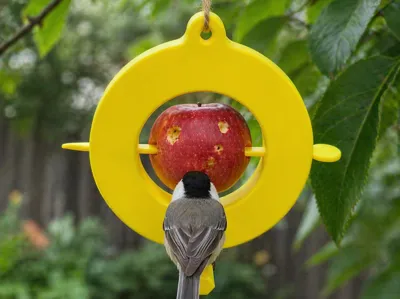 Hanging Apple Bird Feeder
