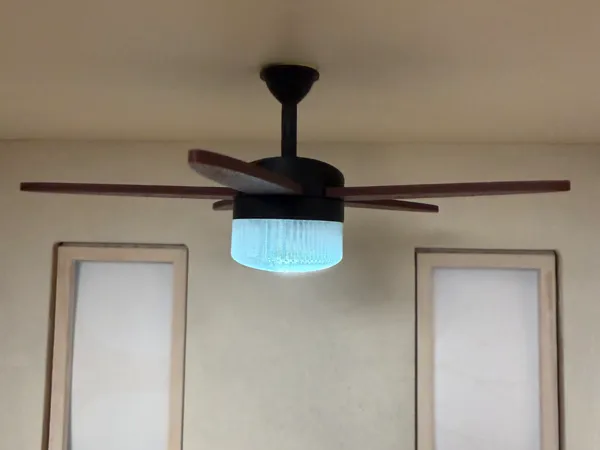 https://makerworld.bblmw.com/makerworld/model/US91e3923797d3a7/design/0a8fbe8dd6fa4aa8.jpg