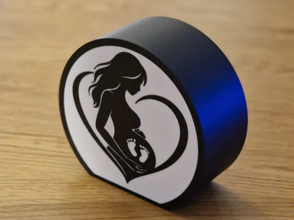 https://makerworld.bblmw.com/makerworld/model/US91e8080fe10ef2/design/805395aeea791f5a.jpg