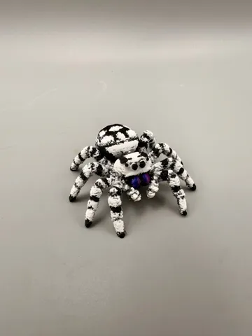 Adorno temático: Jumping Spider - Phidippus regius — vista de referencia 4