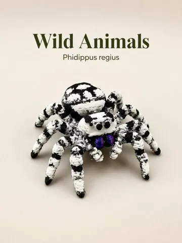 Adorno temático: Jumping Spider - Phidippus regius — vista de referencia 2