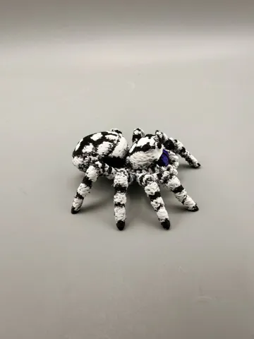 Adorno temático: Jumping Spider - Phidippus regius — vista de referencia 5