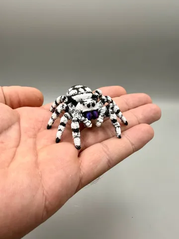 Adorno temático: Jumping Spider - Phidippus regius — vista de referencia 3