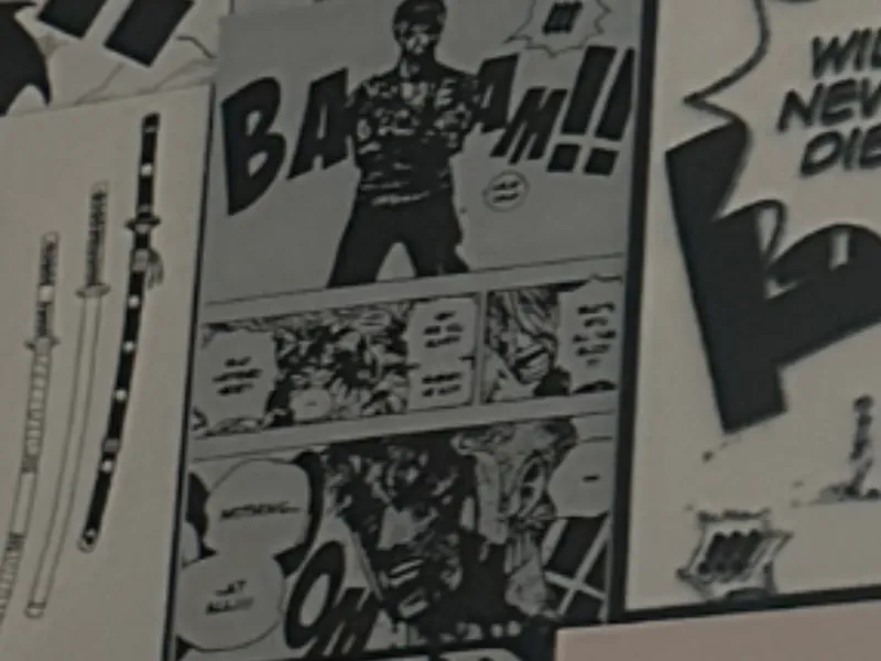 ZORO Nothing Happened Iconic Manga Panel