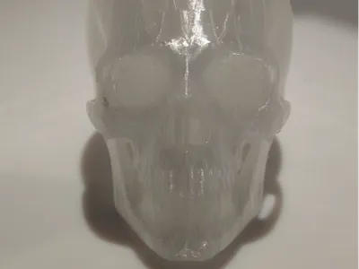 Skull
