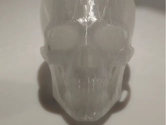Skull
