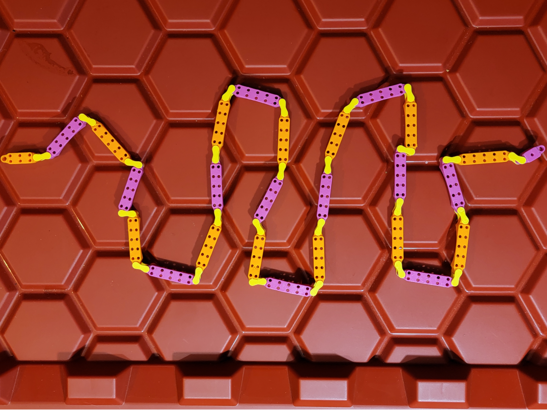Cribbage Snake