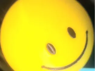 big verety from minecraft