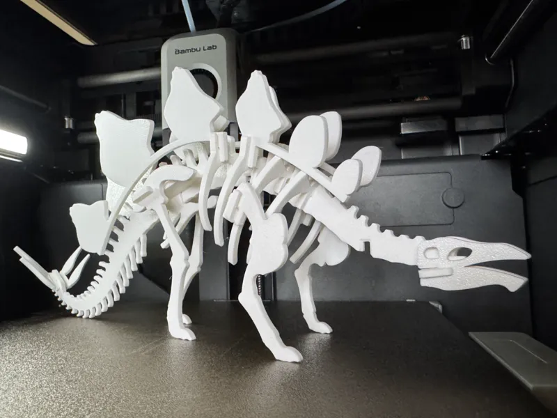 Stegosaurus Dinosaur Skeleton Puzzle