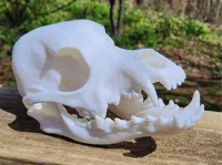 0.16mm layer, 2 walls, 20% infill