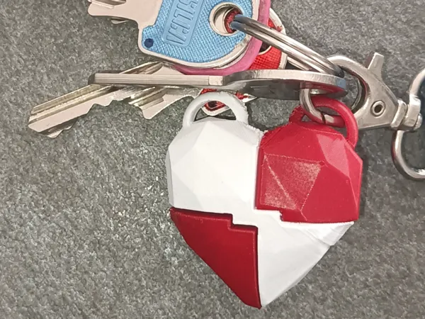 https://makerworld.bblmw.com/makerworld/model/US91f799a0a76394/design/2025-01-29_534e9246c68b4.jpg