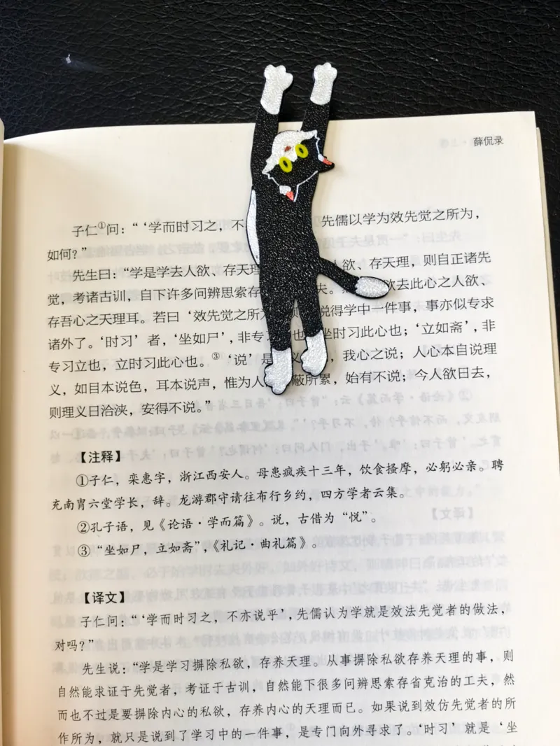 Bookmark-Cat