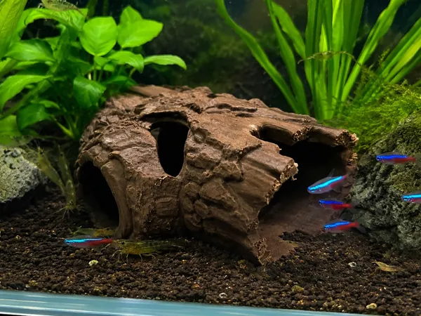 https://makerworld.bblmw.com/makerworld/model/US91fd265b936029/design/789abad643baa8c4.jpg