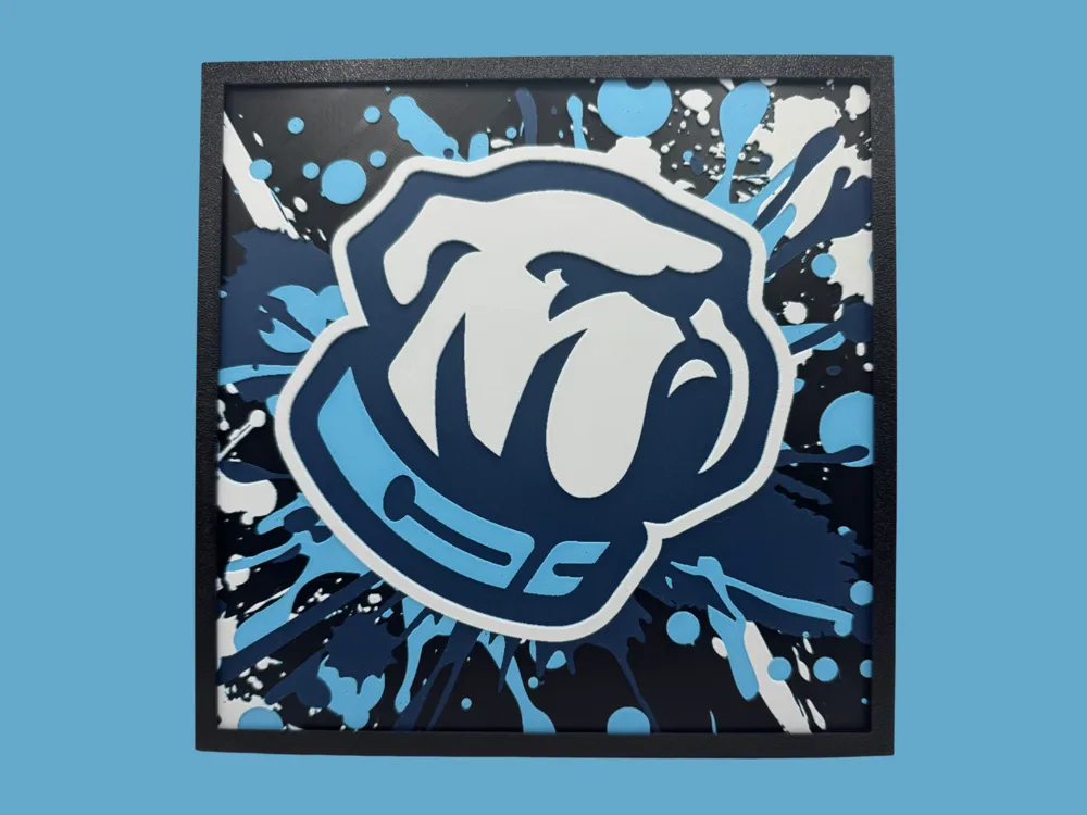 The Citadel Bulldogs