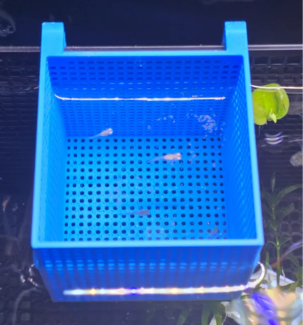 https://makerworld.bblmw.com/makerworld/model/US9202d6e0de2a14/design/2024-08-07_01bbc044d408e.jpg