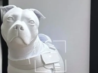 Amstaff – Unique 3D Decoration