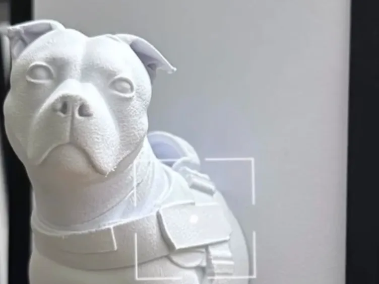 Amstaff – Decorazione 3D unica