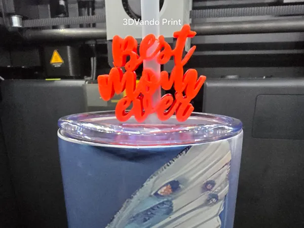 https://makerworld.bblmw.com/makerworld/model/US92116a0a58b42d/design/2024-12-05_0a4a8dc608658.jpg