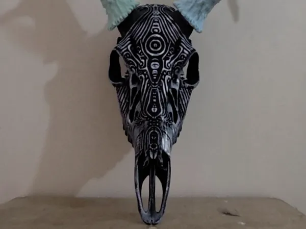 https://makerworld.bblmw.com/makerworld/model/US9214acddb06004/design/2025-12-27_525603b5542178.jpg