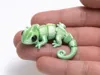 MultiColor Print Profile - chameleon