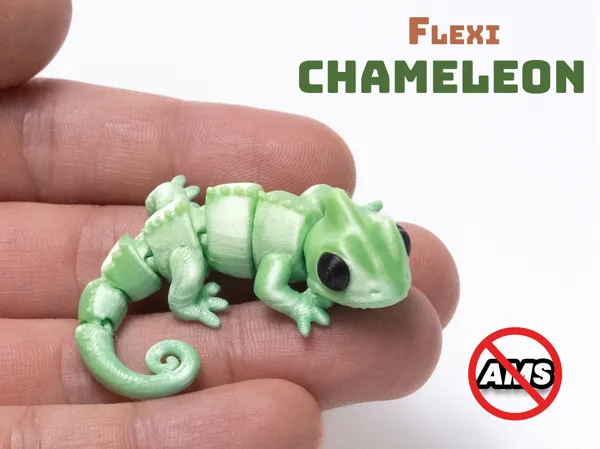 https://makerworld.bblmw.com/makerworld/model/US921562b4f33333/design/386800f6620b6d8a.jpg