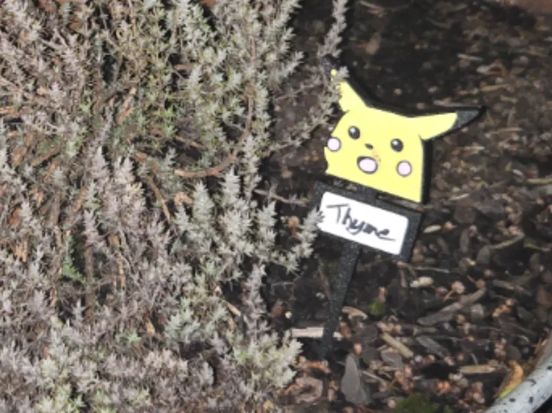 Pikachu In The Tall Grass - Gardening Helper