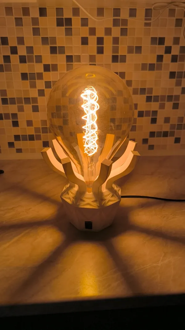 https://makerworld.bblmw.com/makerworld/model/US921cde3122e9e6/design/2024-01-29_25be524ea76b.webp