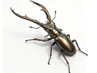 0.2mm 层高, 3 层墙, 20% 填充