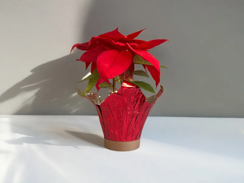 Poinsettia Protector