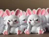 Angry Bunny - Easy Print (No Supports)