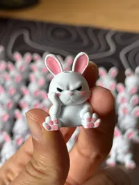 Angry Rabbit Single Color No AMS No Supports