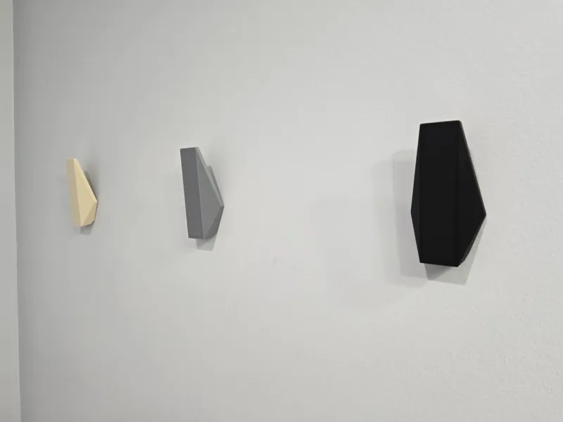 Stronghold Towel or Coat Hook