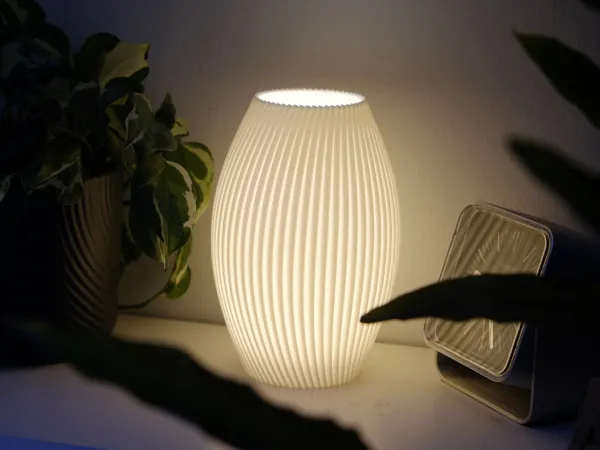 https://makerworld.bblmw.com/makerworld/model/US9238b2176674e7/design/2025-03-11_266441a4e02b18.jpg