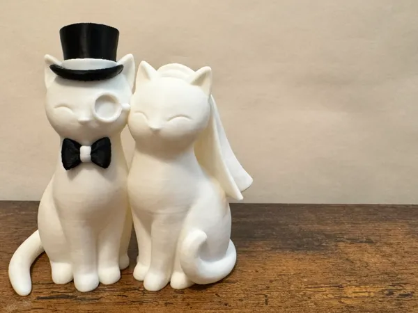 https://makerworld.bblmw.com/makerworld/model/US9239b89d1dc2a8/design/6319fbeb27a45200.jpeg