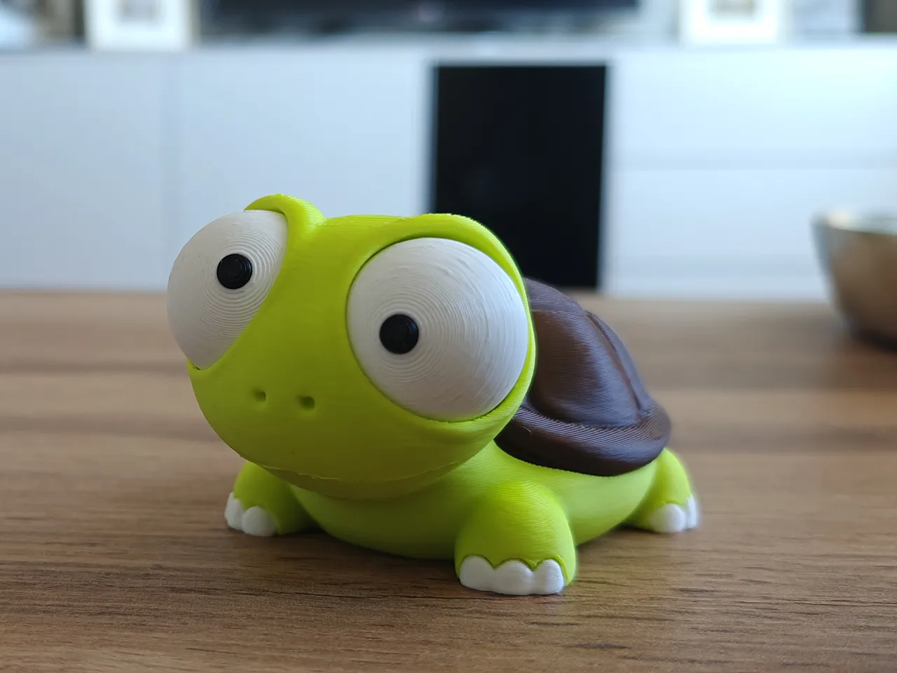 Goofy series – TURTLE Movable Eyes NOAMS view 4