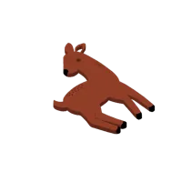 deer