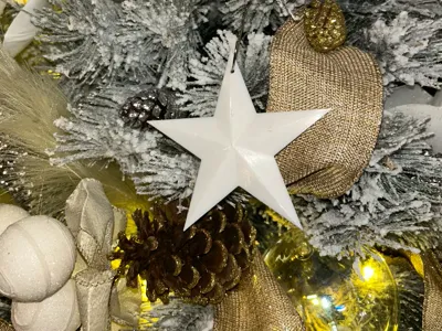 Christmas Star ornament