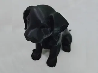 puppy