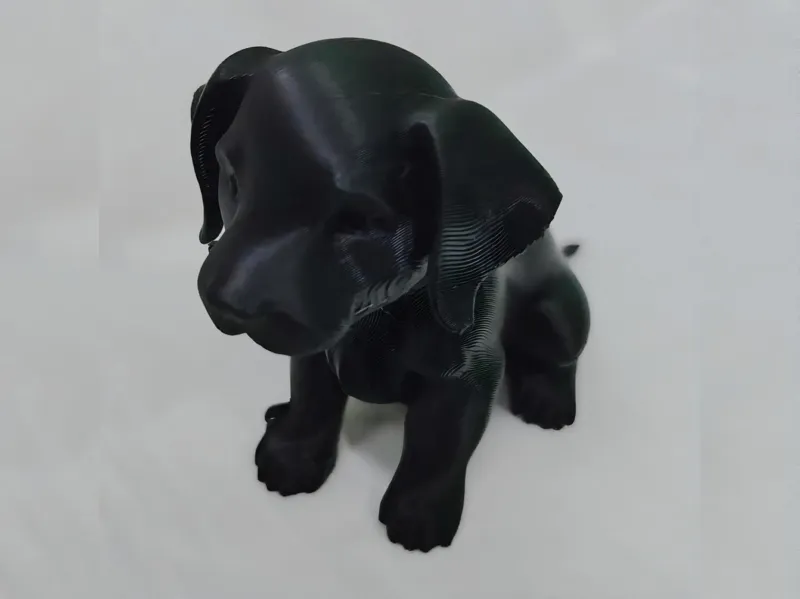 puppy