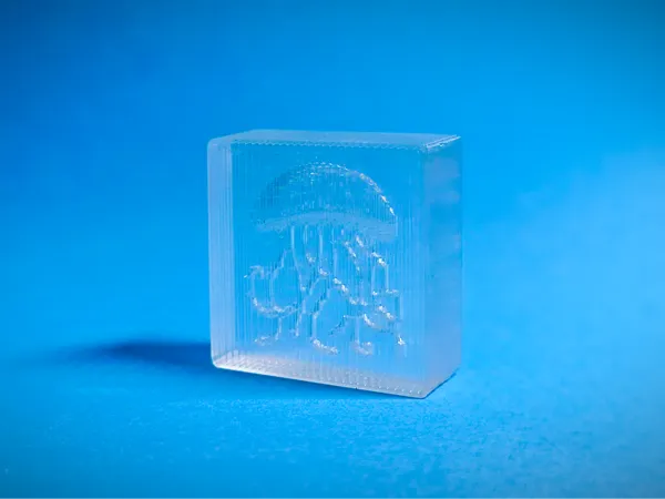 https://makerworld.bblmw.com/makerworld/model/US924d3a71b4f4ff/design/2024-10-18_78b9306dfbc19.jpg