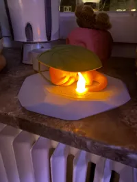 This is just the leaf
