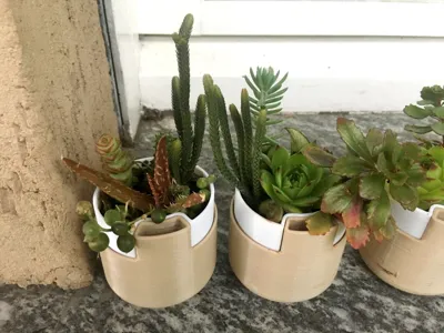 Self Watering Plant Pot