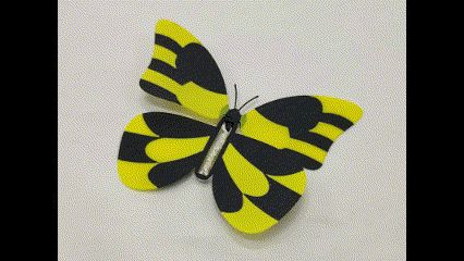 Flipping Butterfly