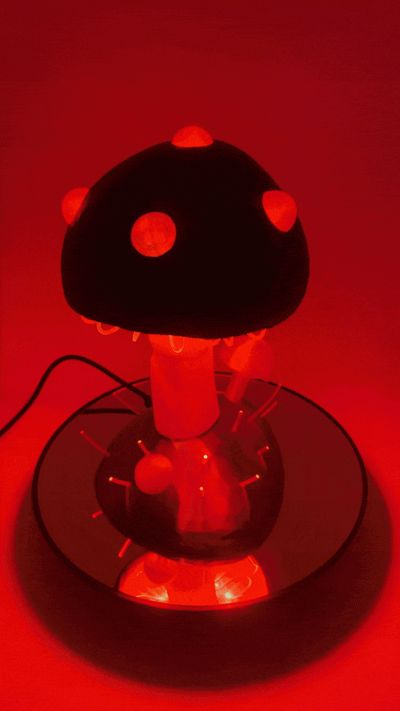 The Amazing Jelly Shroom
