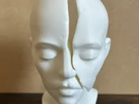 0.2mm layer, 2 walls, 10% infill
