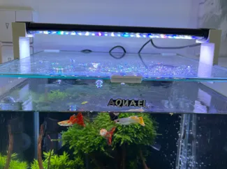 Hygger Aquarium Light Holder