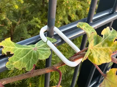 Simple plant clip for tying plants